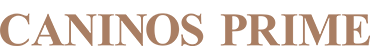 cropped-logo-caninos-prime-2.png