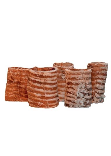 caninos-prime-natural-dog-snack-Bullysticks-BEEF-TRACHEA