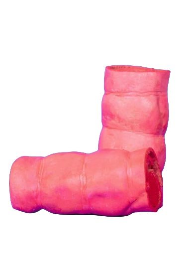 caninos-prime-natural-dog-snack-Bullysticks-CHEEK-ROLLS-BLUEBERRY